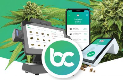 Een Nederlandse Blockchain Startup Lanceert Een Revolutionair Cannabisplatform BitCanna