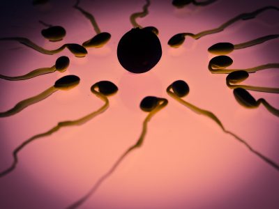 2019-02-08-Kanabis možda nije štetan za proizvodnju spermija