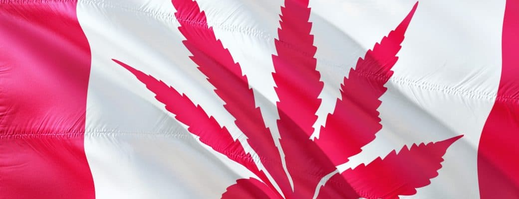 VS Vormt De Grootste Bedreiging Voor De Bloeiende Cannabisindustrie In Canada