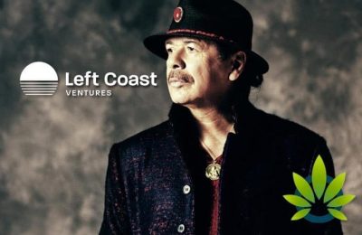 Wereldbekende Gitarist Carlos Santana Begint Zijn Eigen Wietsoort