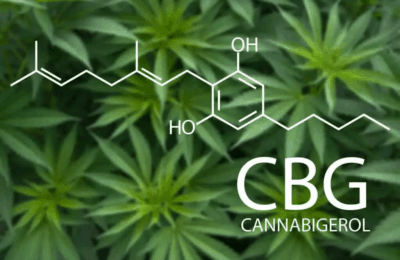 Cannabinoïde CBG Heeft Antibiotische Eigenschappen