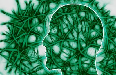 Studie: CBD Kan Het Afsterven Van Hersencellen Vertragen