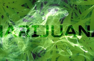 7 Verschillende Verbazingwekkende Soorten Cannabis Die Je Moet Proberen