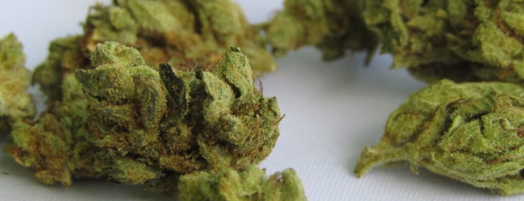 Wat Geeft Marihuana De Kenmerkende ‘skunky’ Geur?