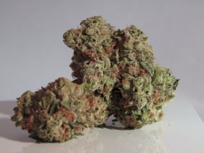 2022-01-12-Cannabis Megasite WayofLeaf.com elindítja a különböző marihuána törzsek egészségügyi hatásait ellenőrző alkalmazást