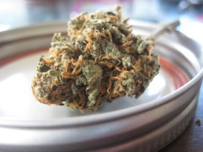 2022-01-21-La nation des Caraïbes Saint-Vincent exporte sa première cargaison de cannabis médicinal