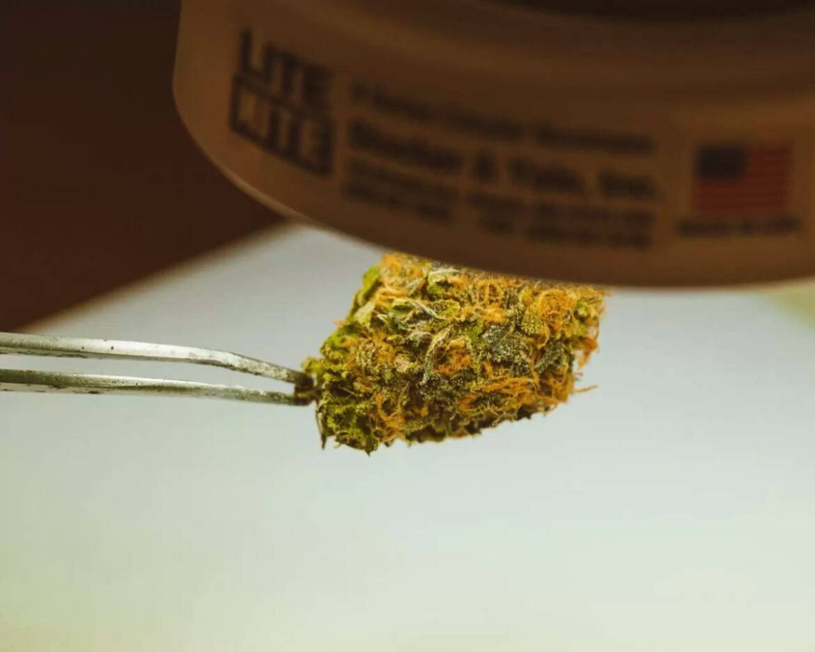 Hoe kun je medisch voordeel halen uit cannabis?