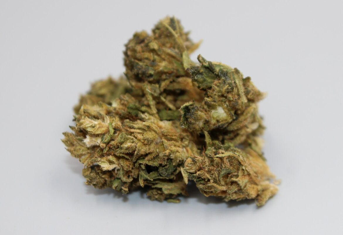 2022-06-01-Onderzoekers verbeteren cannabis voor medische toepassingen