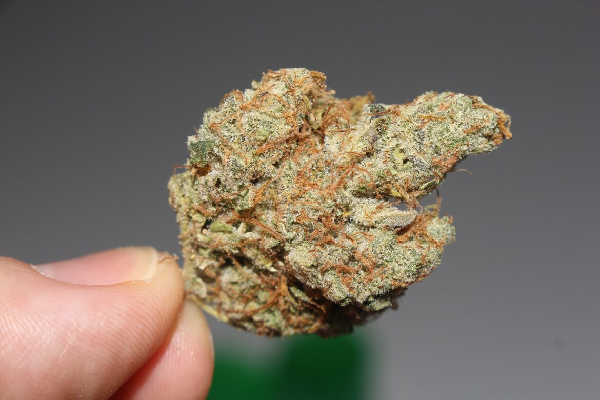 cannabis-top