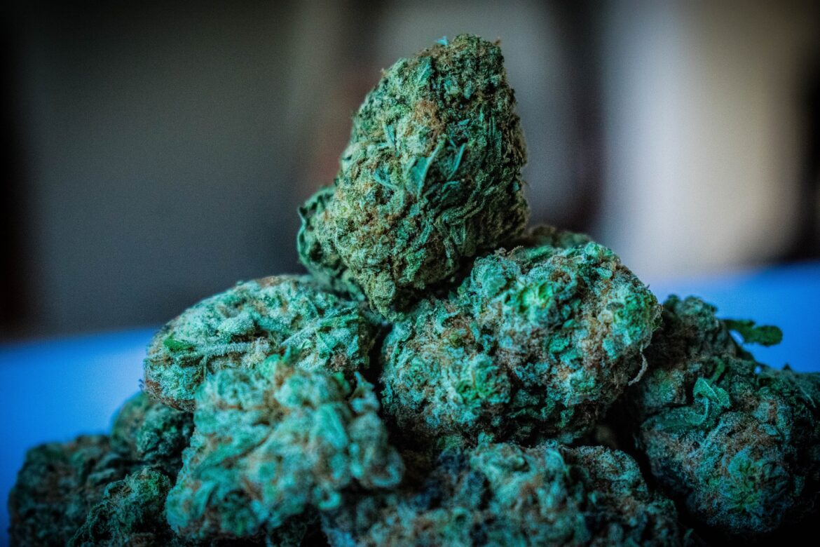 cannabislegalisering-in-zwitserland