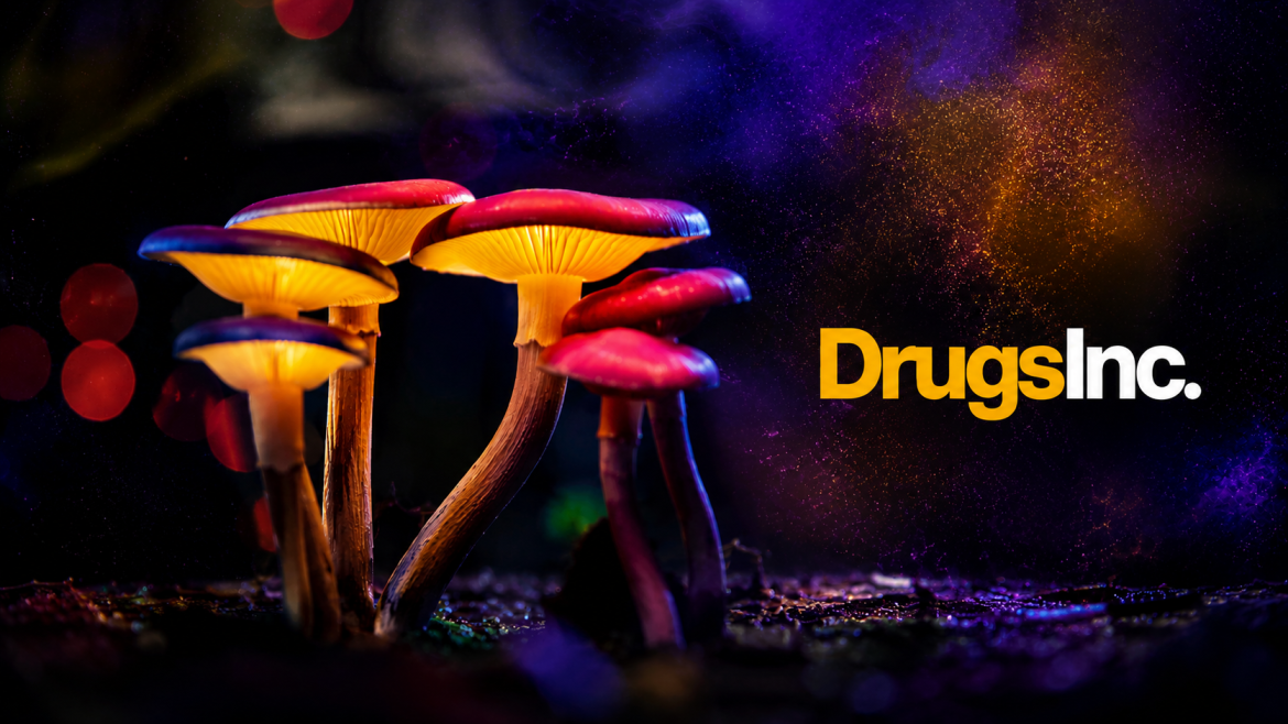microdose-truffel-psycadalics-mushroom-drugsinc