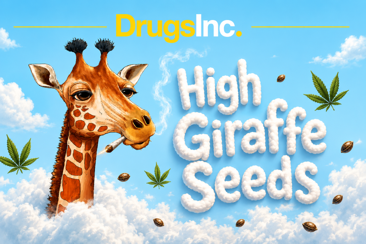 highgiraffe-drugsinc-cannabis-news