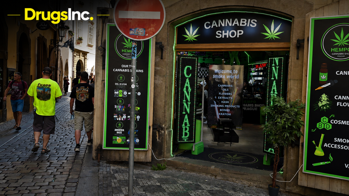 cannabis-tjechie-news-drugsinc