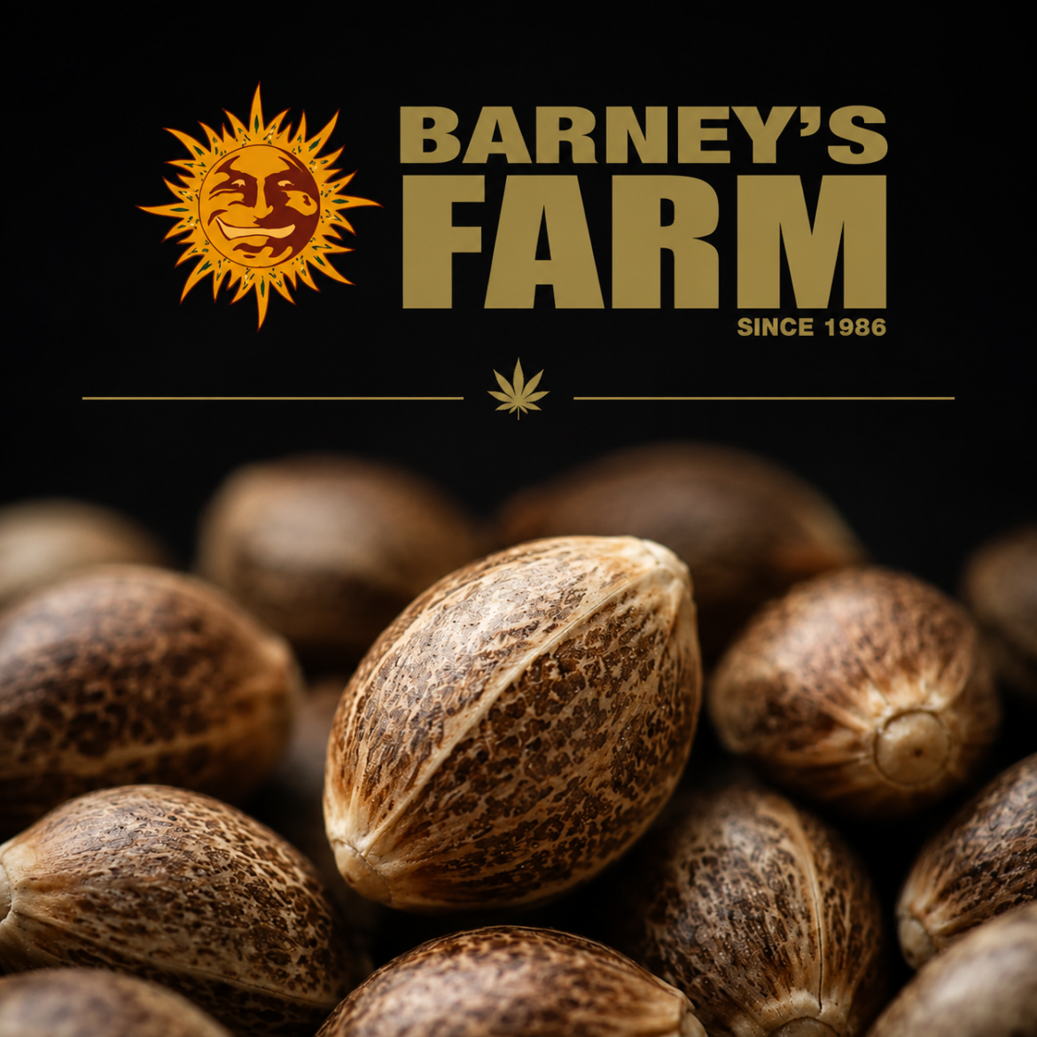 barneyfarms-new-genetics-news