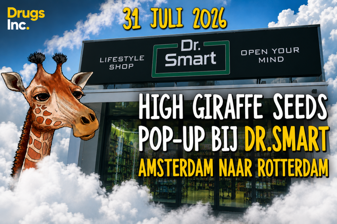 drsmart-highgiraffeseeds-rotterdam-seeds