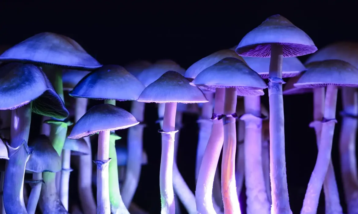 psychedelics-usa-news-drugsinc