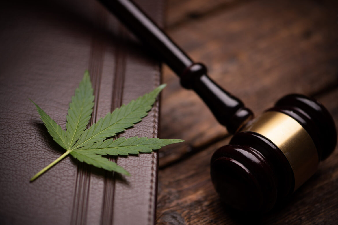 Drugsinc legal cannabis