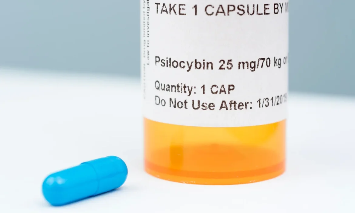 drugsinc legale psilocybine