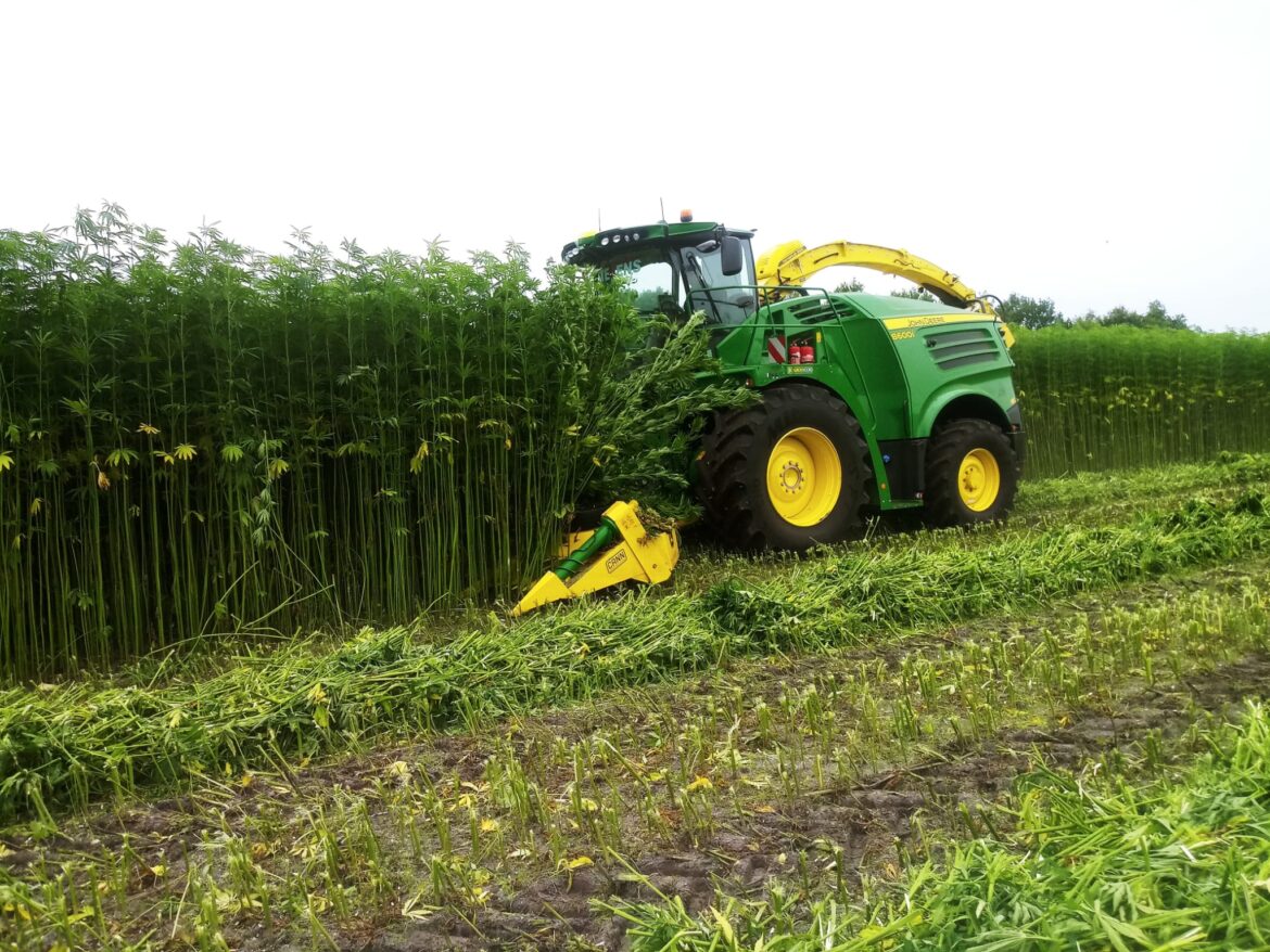 drugsinc industriele hennep