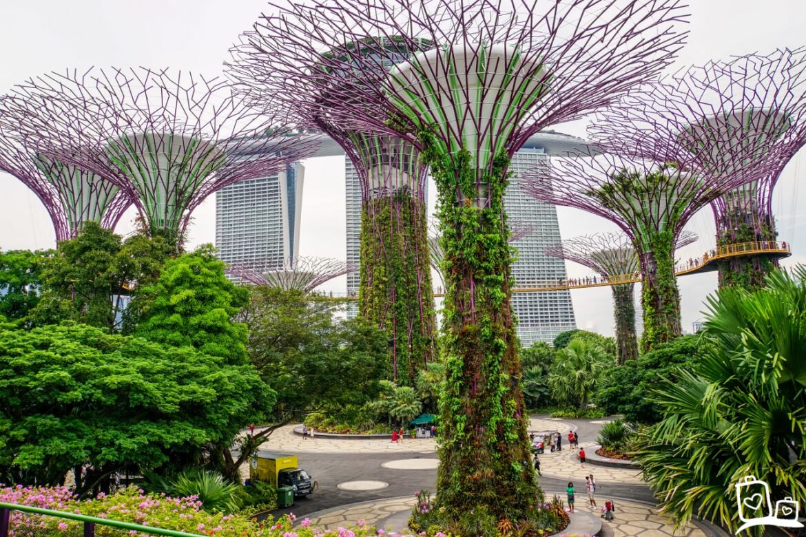 drugsinc man opgepakt in singapore