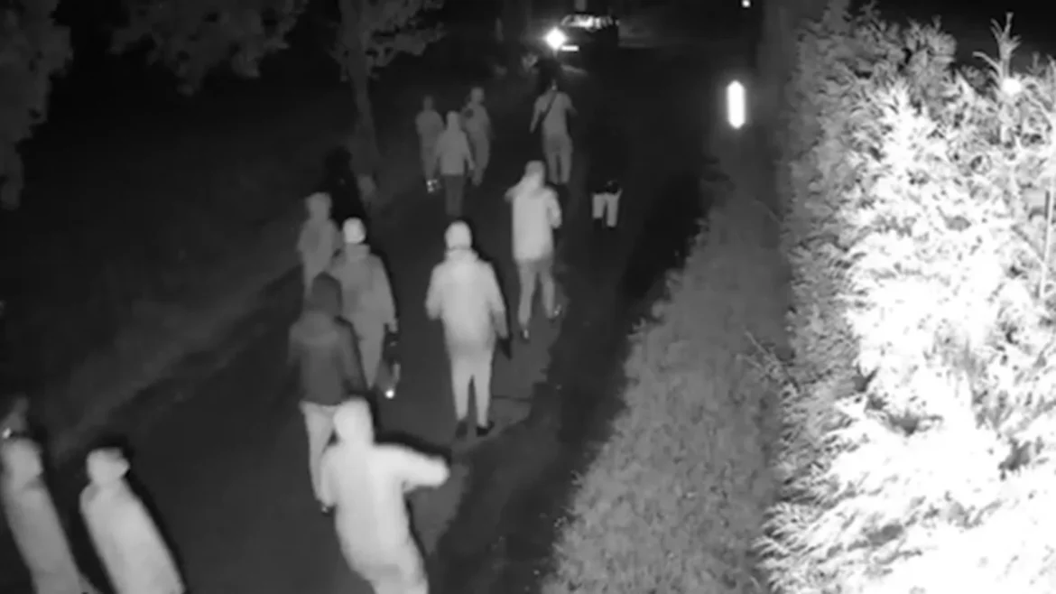 drugsinc schietpartij hasselt