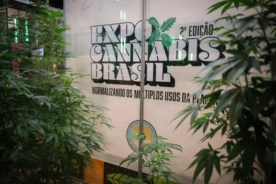drugsinc cannaexpo brazil