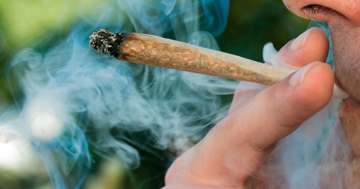 drugsinc onderzoek frequentie in thc en cannabis